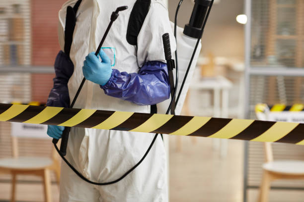 Professional Biohazard technician working in Attica, MI
